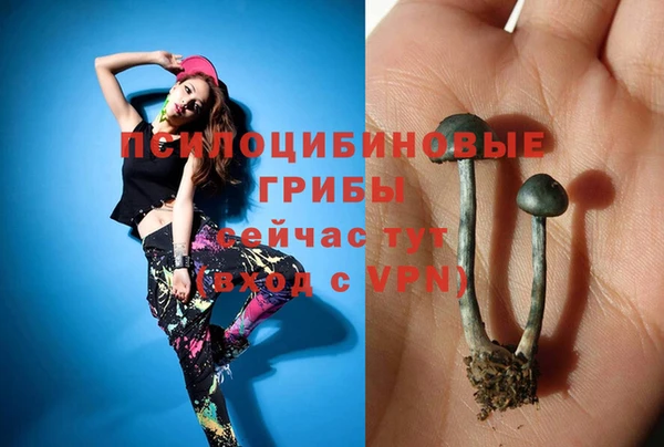 герыч Лиски