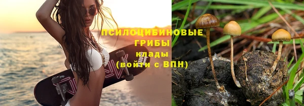 каннабис Майский